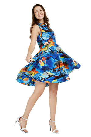 Women's Vintage Fit and Flare Dress in Dolphin Sunset Blue