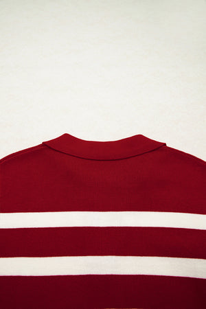 Ariya Stripe Collared Sweater