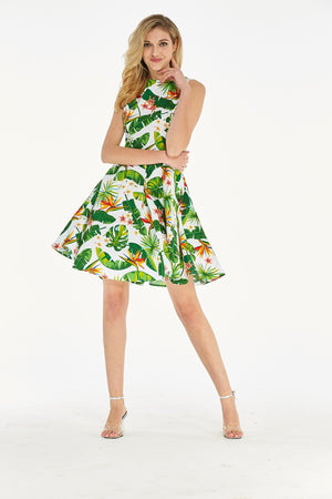 Women's Vintage Fit and Flare Dress  Bird of Paradise