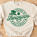 Prone To Shenanigans and Malarkey Sweatshirt, St. Patrick's Day Shirt, Shamrock Sweatshirt Bright Shirt 681873